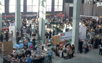 Kulinarne doznania, czyli Festiwal Smaków w Opolu